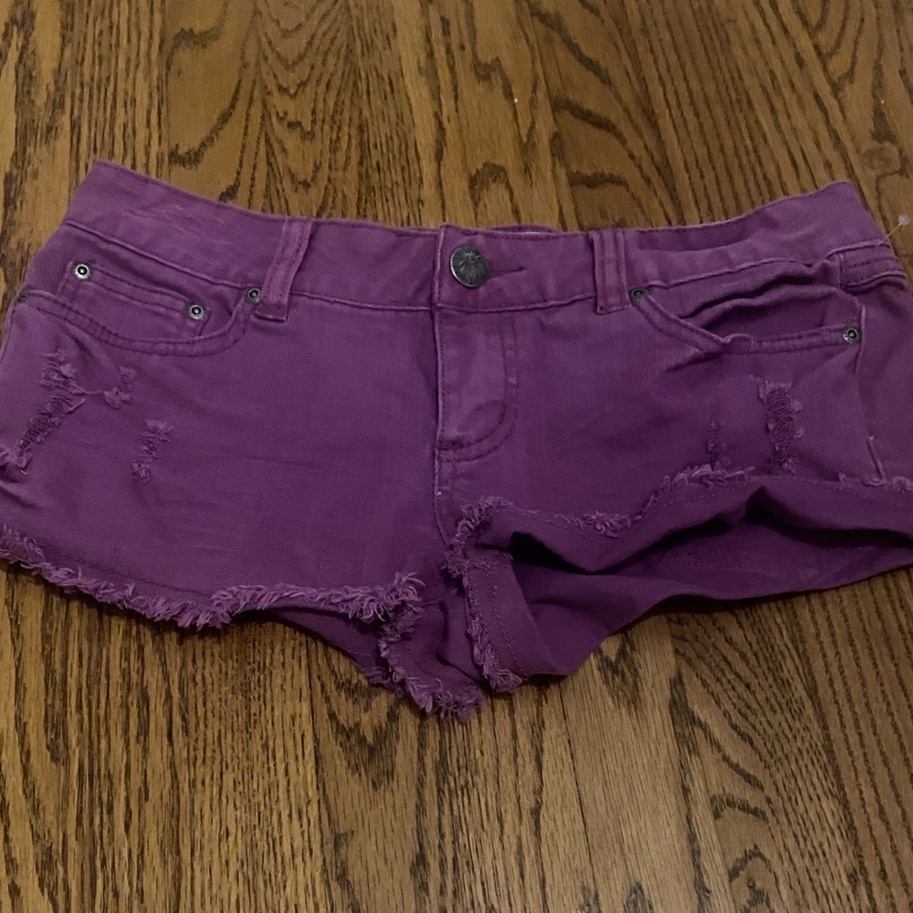 Rare Purple Wallflower Shorts